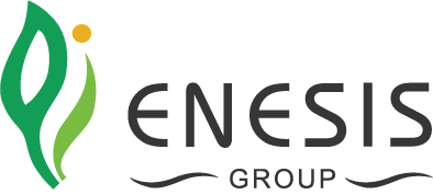 Enesis